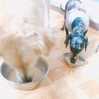 wooriYul님이 올린 리뷰 사진 2