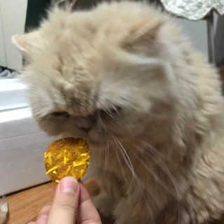 belle915님이 올린 리뷰 사진 2