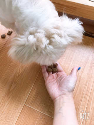 아이린지니님이 올린 리뷰 사진 3