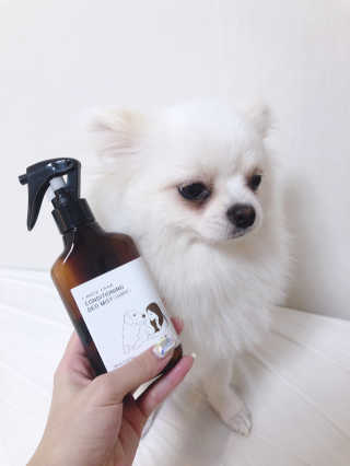 따꿍맘마님이 올린 리뷰 사진 4