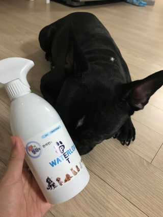 동동이맘님이 올린 리뷰 사진 2