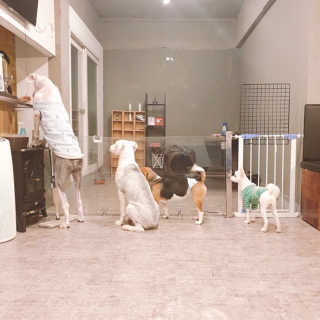 얍님이 올린 리뷰 사진 1