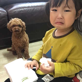 둉이님이 올린 리뷰 사진 1