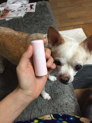 박지혜님이 올린 리뷰 사진 3