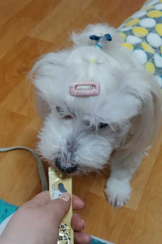 비커잠해피님이 올린 리뷰 사진 3