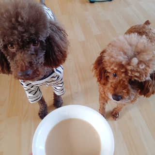 코밍쏭님이 올린 리뷰 사진 3