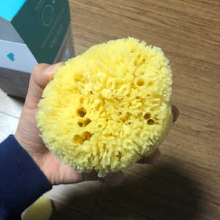 룰라러브 모공관리 끝 지중해산 천연해면 바디스펀지 — 4.83점을 준 리뷰어가 2018년 4월 올린 사용 사진
