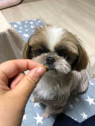 구산댁님이 올린 리뷰 사진 1