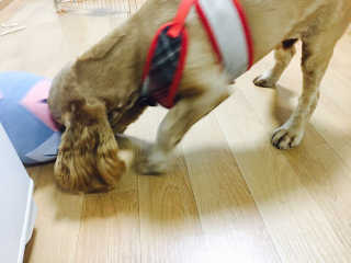 이은진님이 올린 리뷰 사진 3