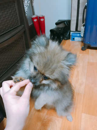 SeungAhShin님이 올린 리뷰 사진 4
