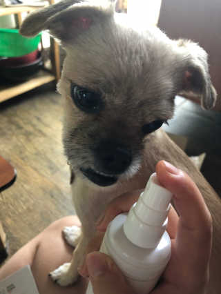 조원화님이 올린 리뷰 사진 2