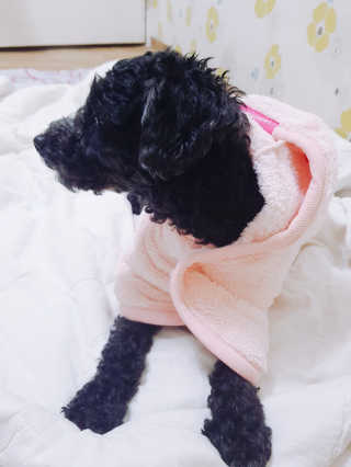 차재림님이 올린 리뷰 사진 1