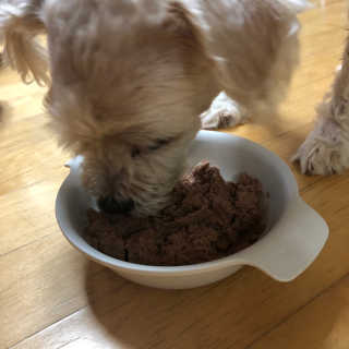 [펫토리아] 한캔뚝딱 강아지 주식캔 12종 콤보 — 4.5점을 준 리뷰어가 2019년 8월 올린 사용 사진