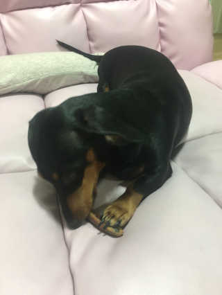 twotkdgml님이 올린 리뷰 사진 3