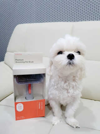 신소향님이 올린 리뷰 사진 2