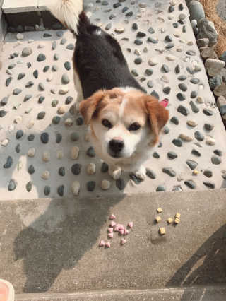 GoEunChoi님이 올린 리뷰 사진 2