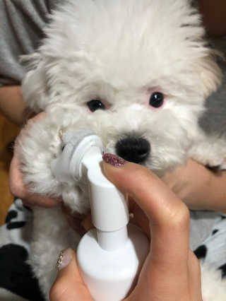kmakmsss님이 올린 리뷰 사진 3