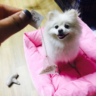 KateWoo님이 올린 리뷰 사진 1