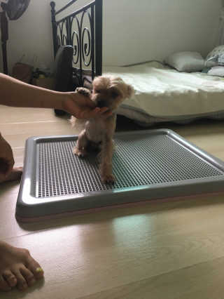 아라아빠님이 올린 리뷰 사진 1