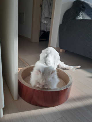 프리님이 올린 리뷰 사진 3