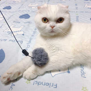 Dragonzoo님이 올린 리뷰 사진 2