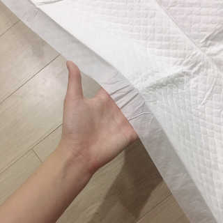 펫토리아 한장뚝딱 NEW 프리미엄 국내산 배변패드 — 5점을 준 리뷰어가 2019년 5월 올린 사용 사진