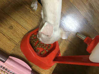 JiyeonChoi님이 올린 리뷰 사진 2