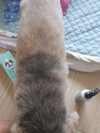 류혜미님이 올린 리뷰 사진 1