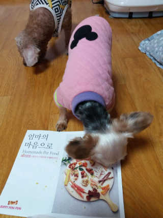 쪼꼬사랑이언니님이 올린 리뷰 사진 4