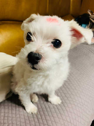 짱아님이 올린 리뷰 사진 4