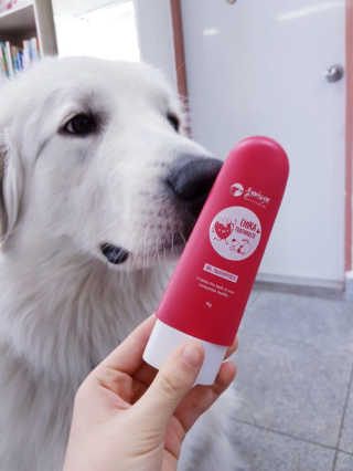 이유라님이 올린 리뷰 사진 2