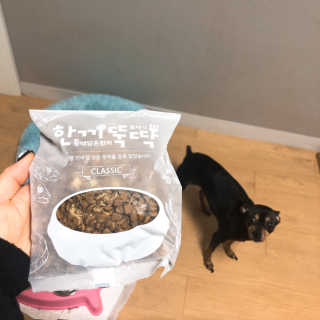 [펫토리아] 맛도 영양도 BEST 한끼뚝딱 강아지 사료 — 5점을 준 리뷰어가 2018년 12월 올린 사용 사진