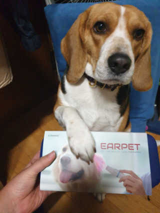 beaglelove님이 올린 리뷰 사진 1