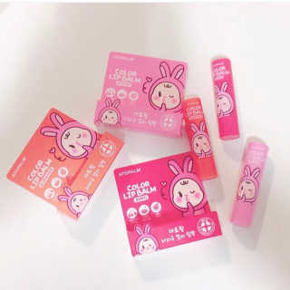 반달토끼님이 올린 리뷰 사진 1