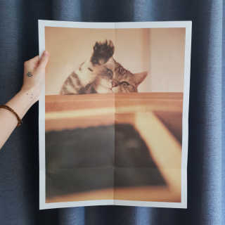sunny님이 올린 리뷰 사진 2