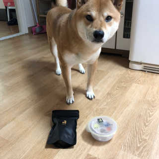 봄봄님이 올린 리뷰 사진 1