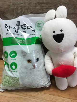 [펫토리아] BEST 고양이두부모래 6L 한삽뚝딱 — 5점을 준 리뷰어가 2019년 1월 올린 사용 사진