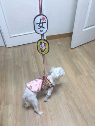 haeri님이 올린 리뷰 사진 1