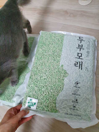 효성님이 올린 리뷰 사진 3