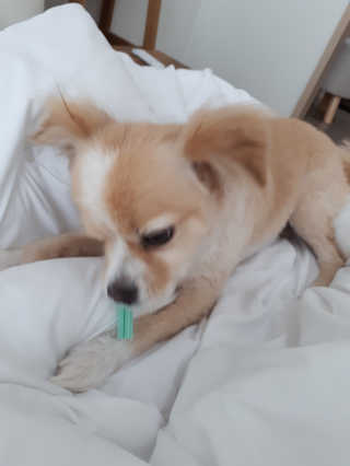 jina2744님이 올린 리뷰 사진 3