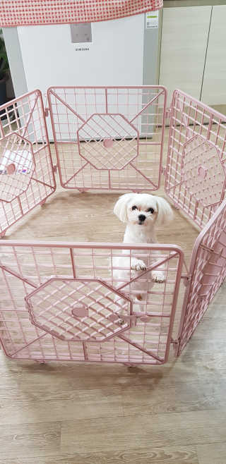 BoksoonJin님이 올린 리뷰 사진 1