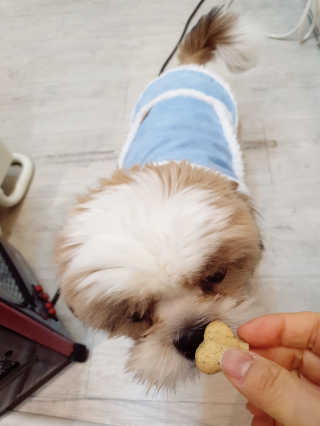 도도님이 올린 리뷰 사진 3