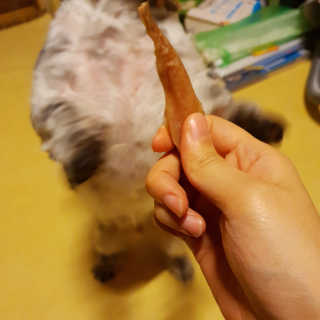 가횽님이 올린 리뷰 사진 2