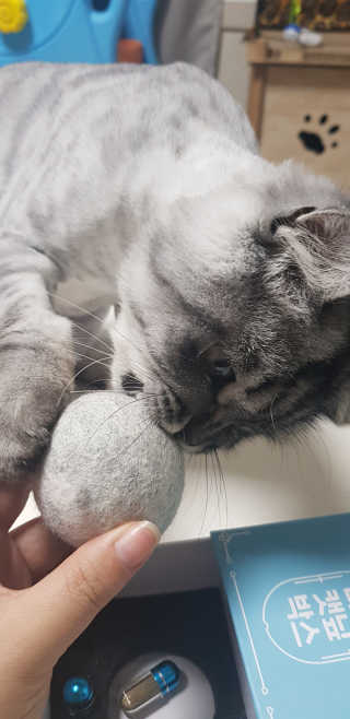 혀니쿵이짝이맘님이 올린 리뷰 사진 3