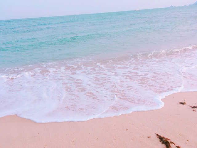 고보습 발효콩크림 리뷰 사진