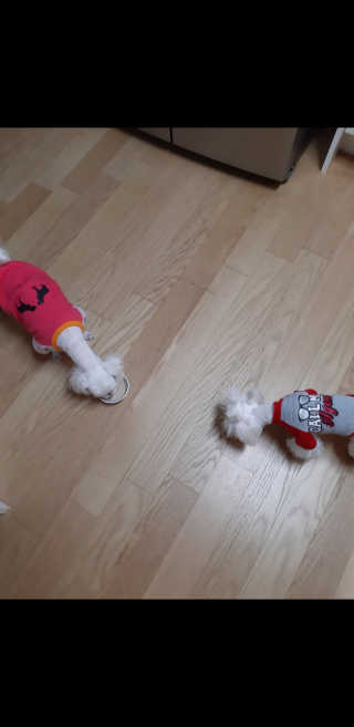 꿍님이 올린 리뷰 사진 4
