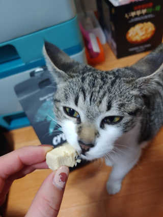 라온시연님이 올린 리뷰 사진 1