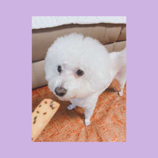 쀼니지브님이 올린 리뷰 사진 3
