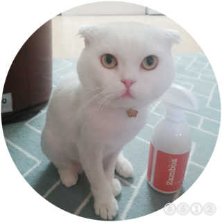 sunny38님이 올린 리뷰 사진 1