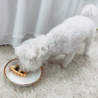 쿙님이 올린 리뷰 사진 3